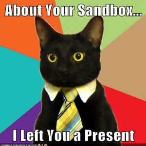 sandbox-meme-cat